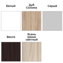 Шкаф-купе ХИТ-У-24-4-77 | фото 4